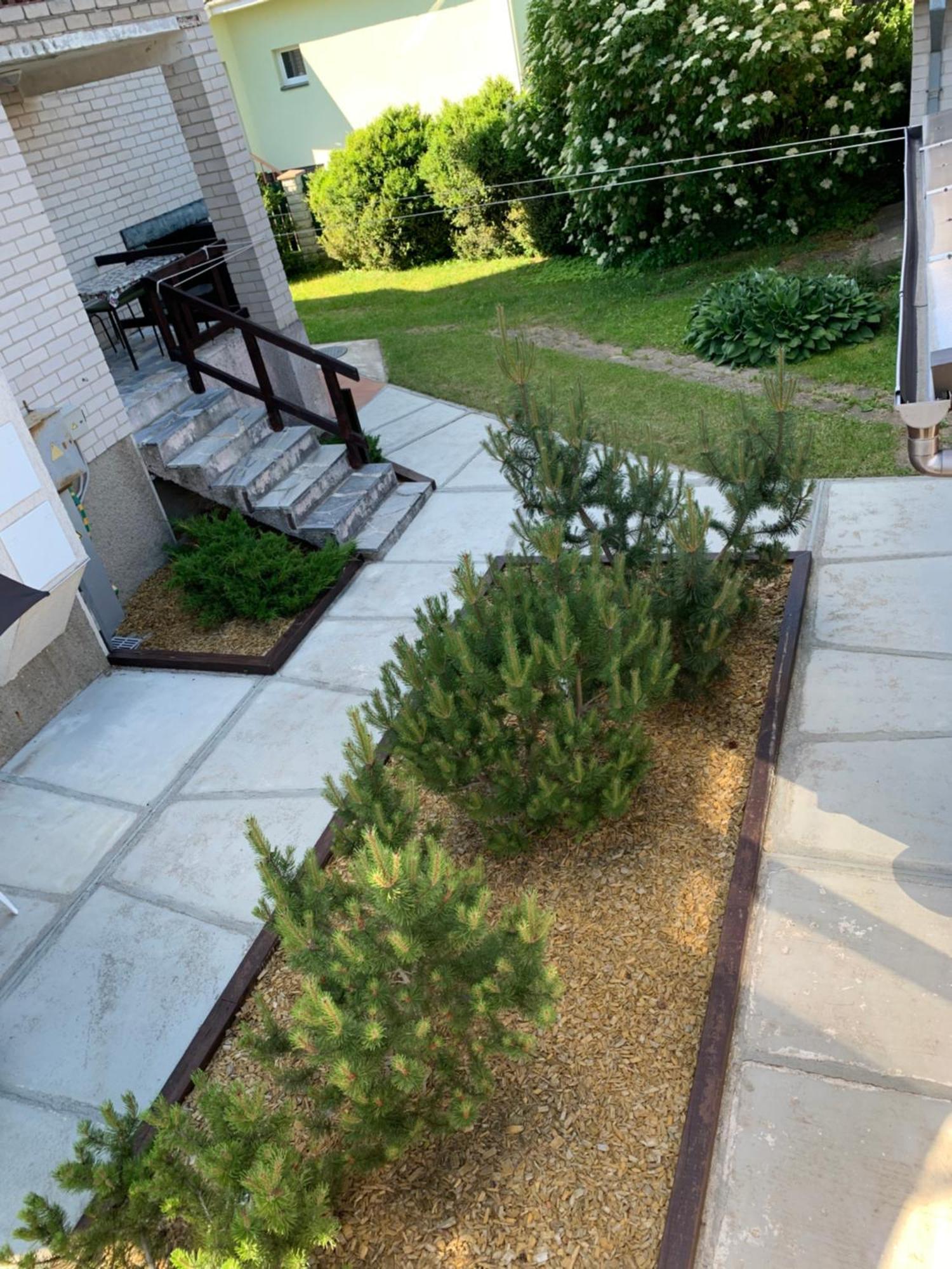 Guesthouse Sveciuose Pas Grazina 帕兰加 外观 照片
